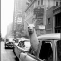 USA. New York. Manhattan. 1957. A Llama in Time Square. ©Inge Morath/MAGNUM PHOTOS