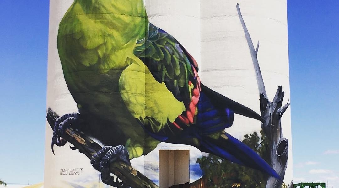 Jimmy DVate @ Waikerie, Australia