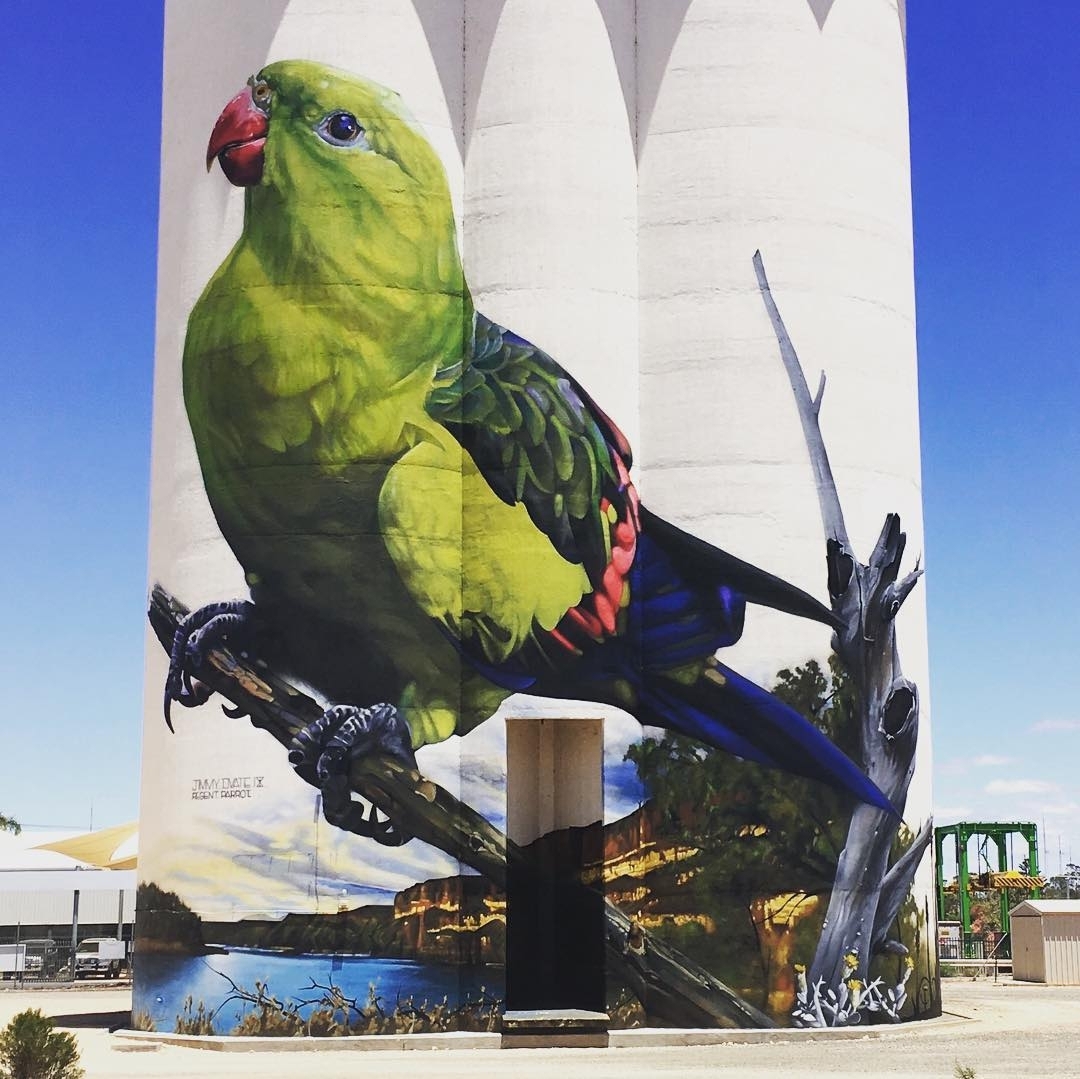 Jimmy DVate @ Waikerie, Australia