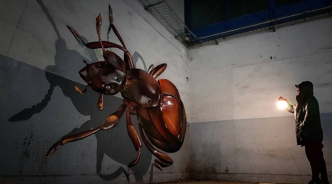 Odeith