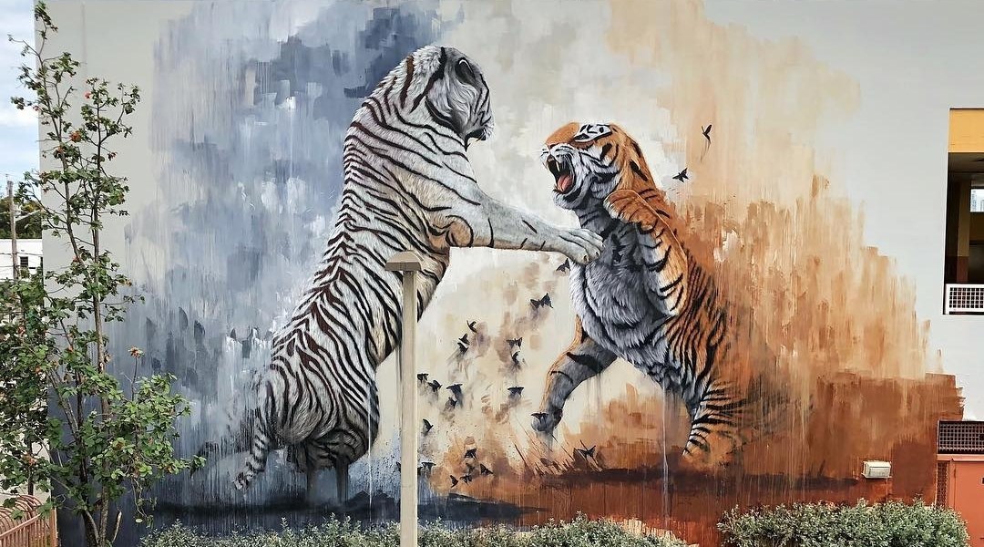 Sonny Sundancer @Miami, FL, USA