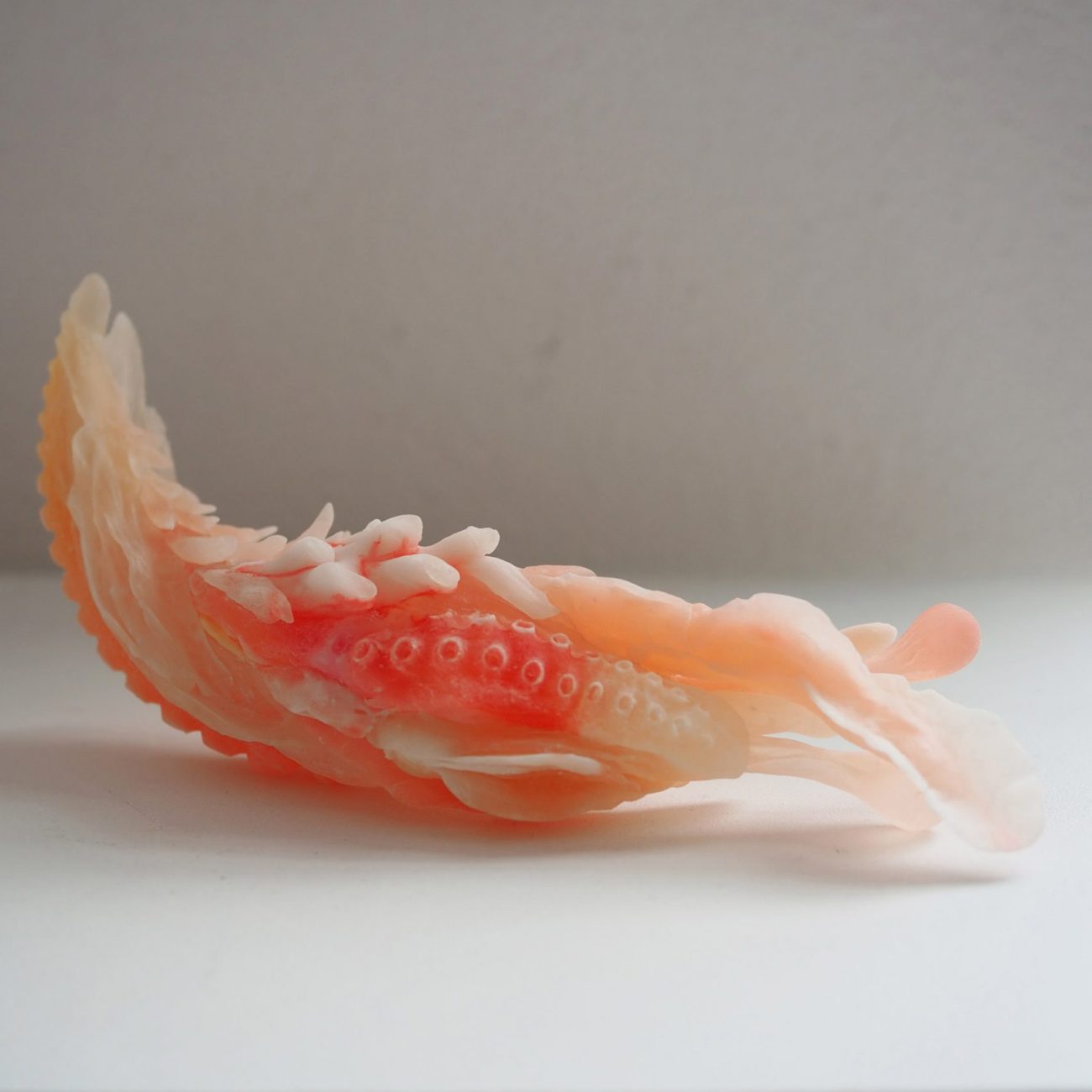 "Tiger Penis Project" by Kuang-Yi Ku