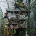 Casa sull’albero, Redmond