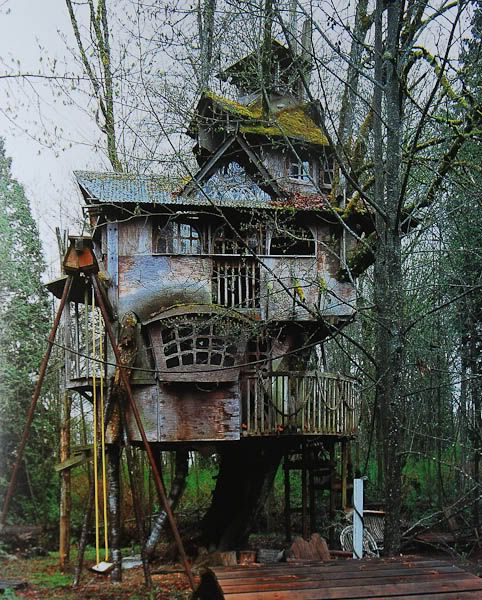 Casa sull'albero, Redmond