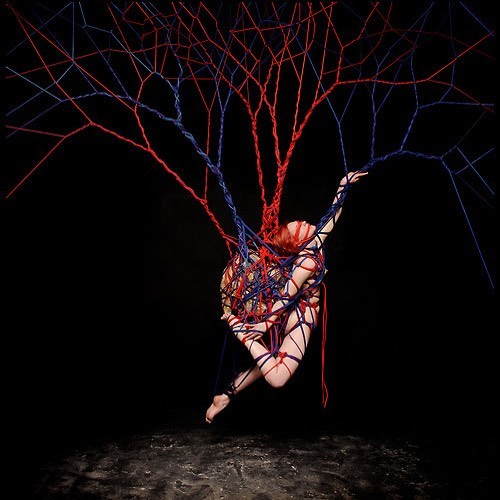 Anatomy of the Heart by Garth Knight