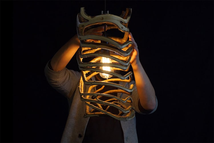 Gavin Munro - Full Grown