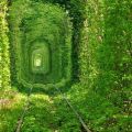 Il tunnel dell’amore in Ucraina