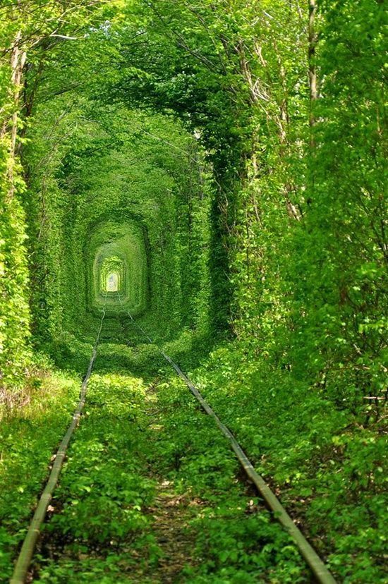 Il tunnel dell'amore in Ucraina
