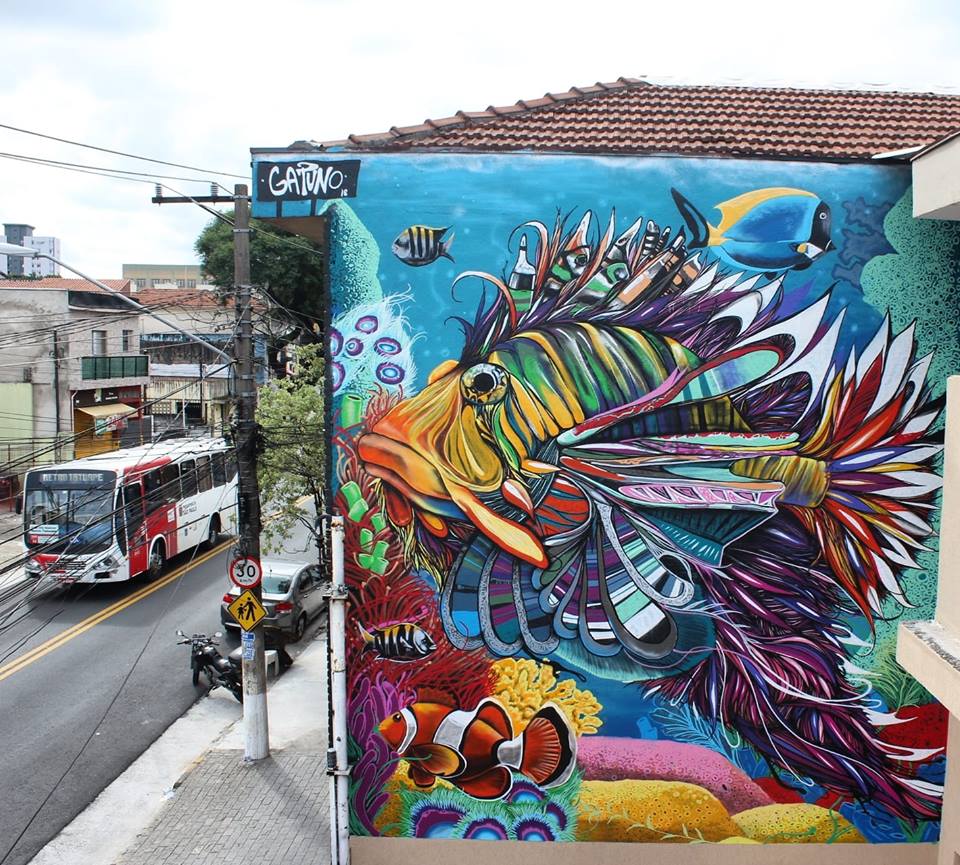 Gatuno @Sao Paulo, Brazil