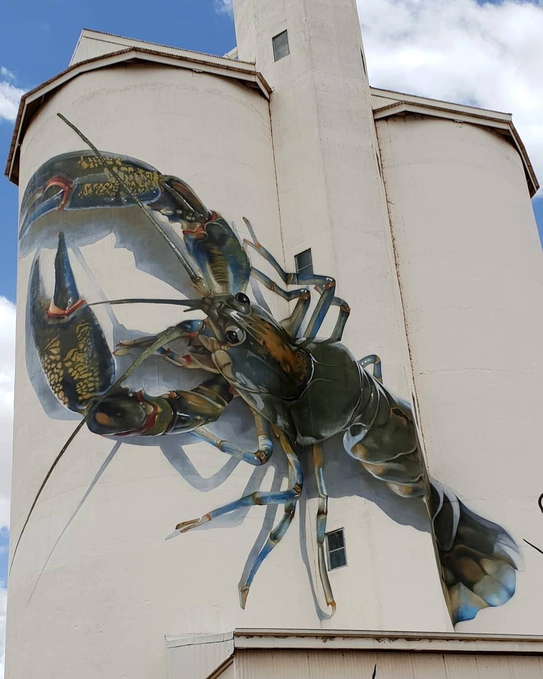 Jimmy DVate @ Waikerie, Australia Jimmy DVate @ Waikerie, Australia