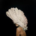 Painting by Amy Judd