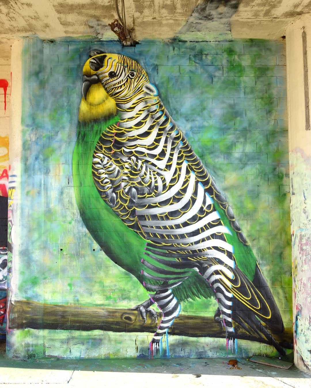 Cee Pil @Ghent, Belgium