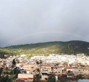 Orani dal Museo Nivola - Collezione permanente