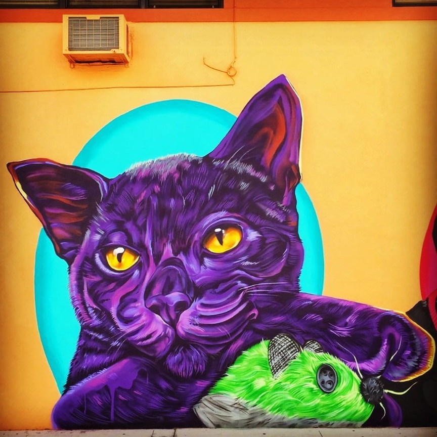 Mark Bulks @ Lake Worth, Fl, USA