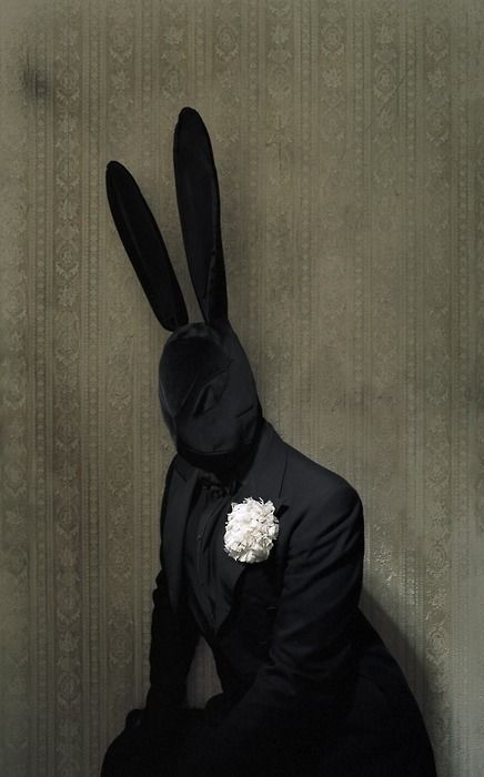 Black Bunny by Matthu Placek