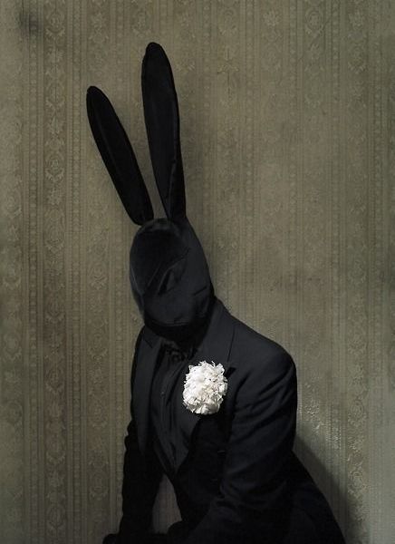 Black Bunny by Matthu Placek