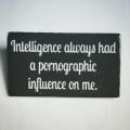“Intelligence always had a pornographic influence on me” Maya Angelou
