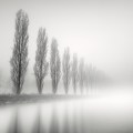 Pierre Pellegrini