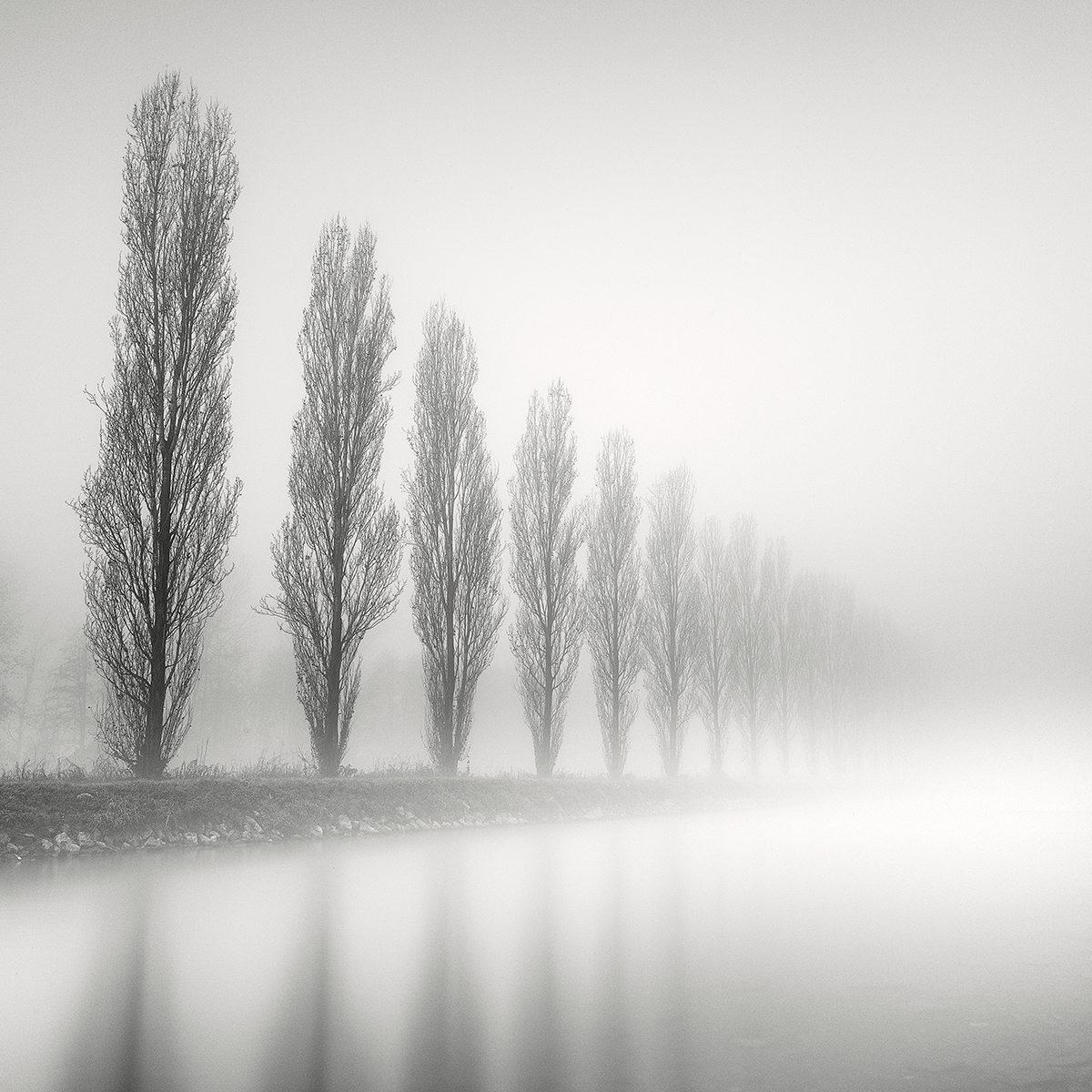 Pierre Pellegrini