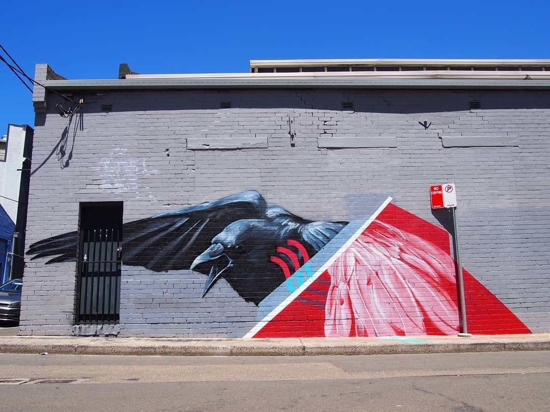 Apeseven @Sydney, Australia