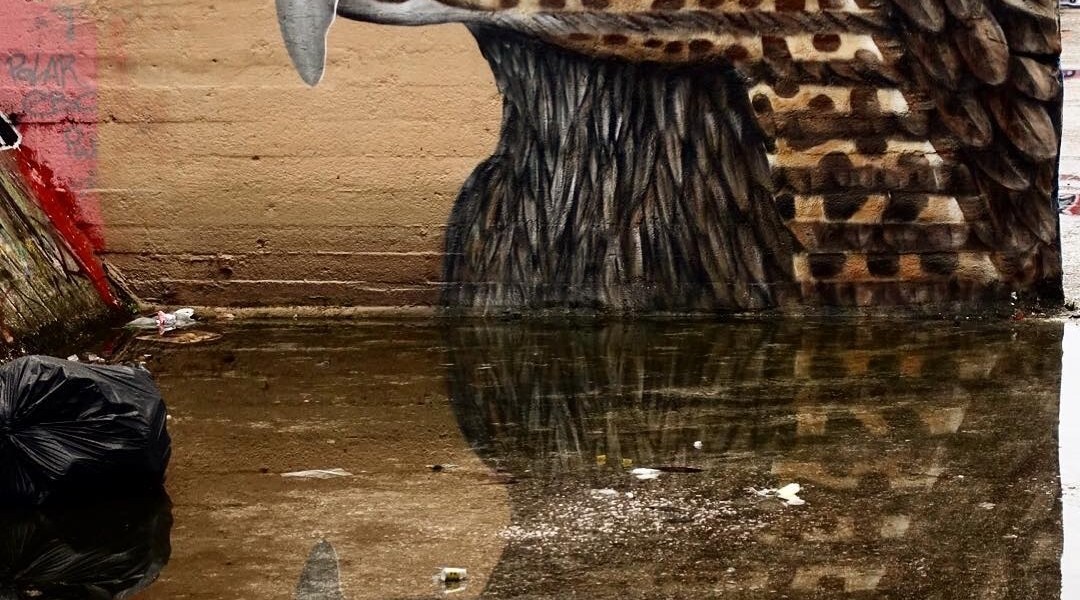 Cee Pil @Ghent, Belgium