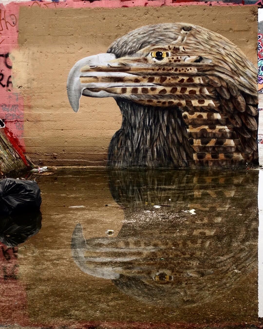 Cee Pil @Ghent, Belgium