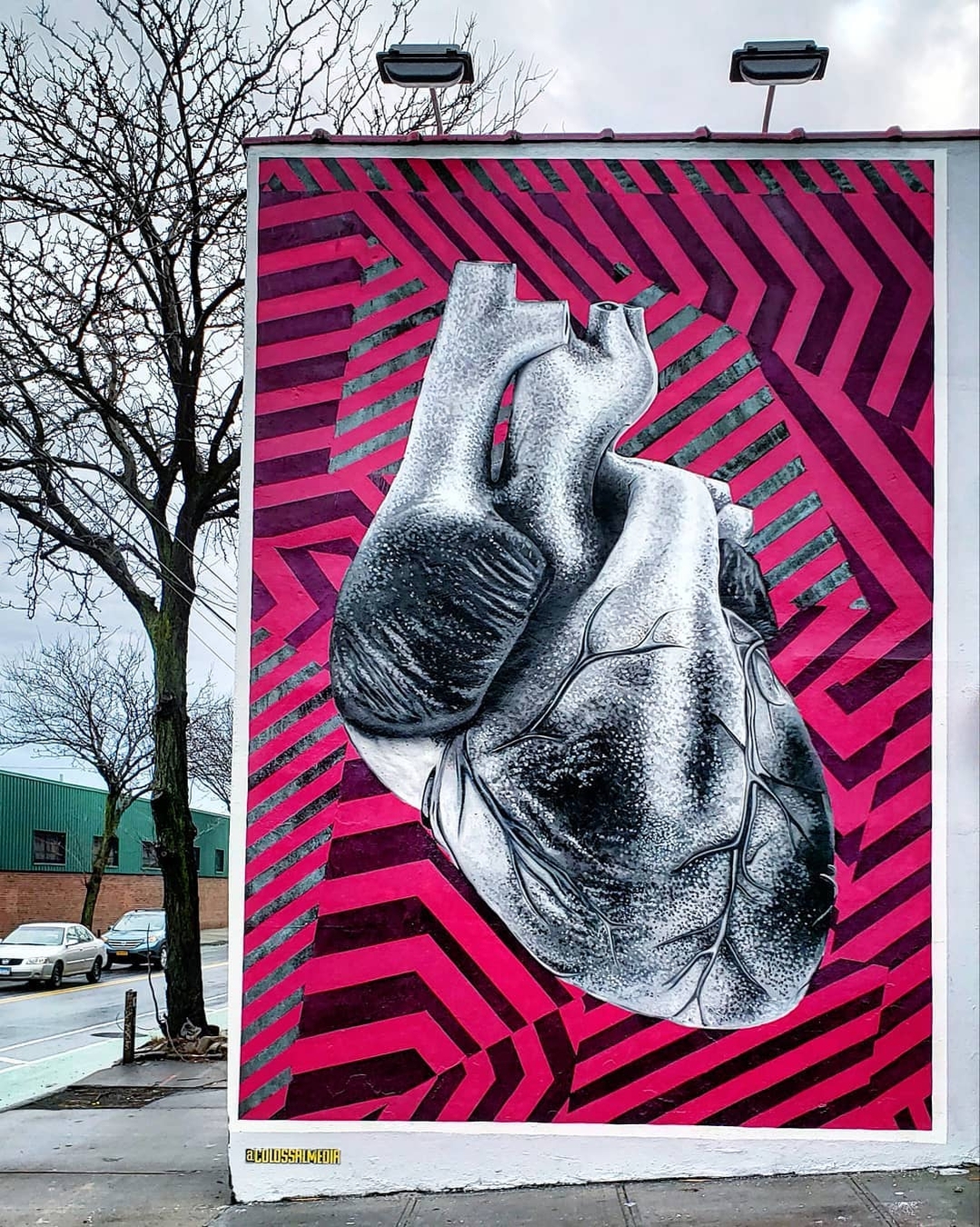 Colossal Media @New York, USA