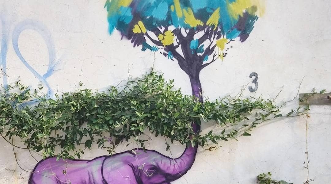 Falko one @Johannesburg, South Africa