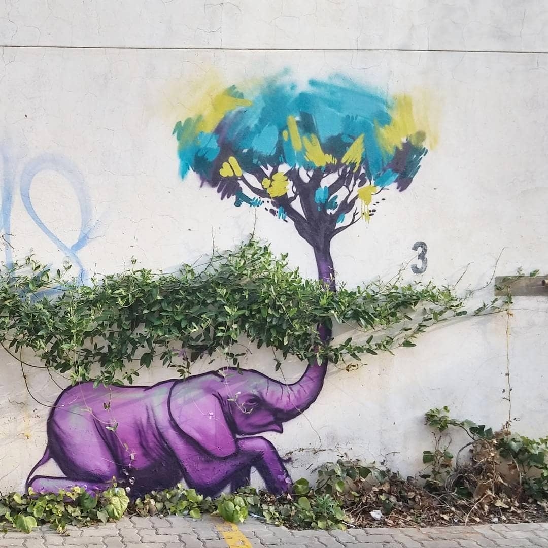 Falko one @Johannesburg, South Africa