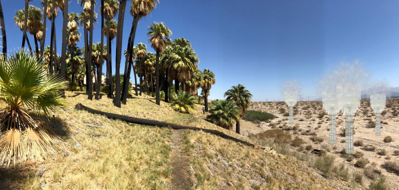 Kathleen Ryan, Ghost Palm, 2019. Courtesy of Desert X