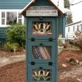 Little Free Library