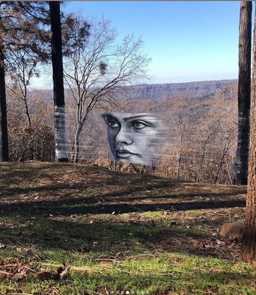 Shane Grammer @Paradise, California, USA