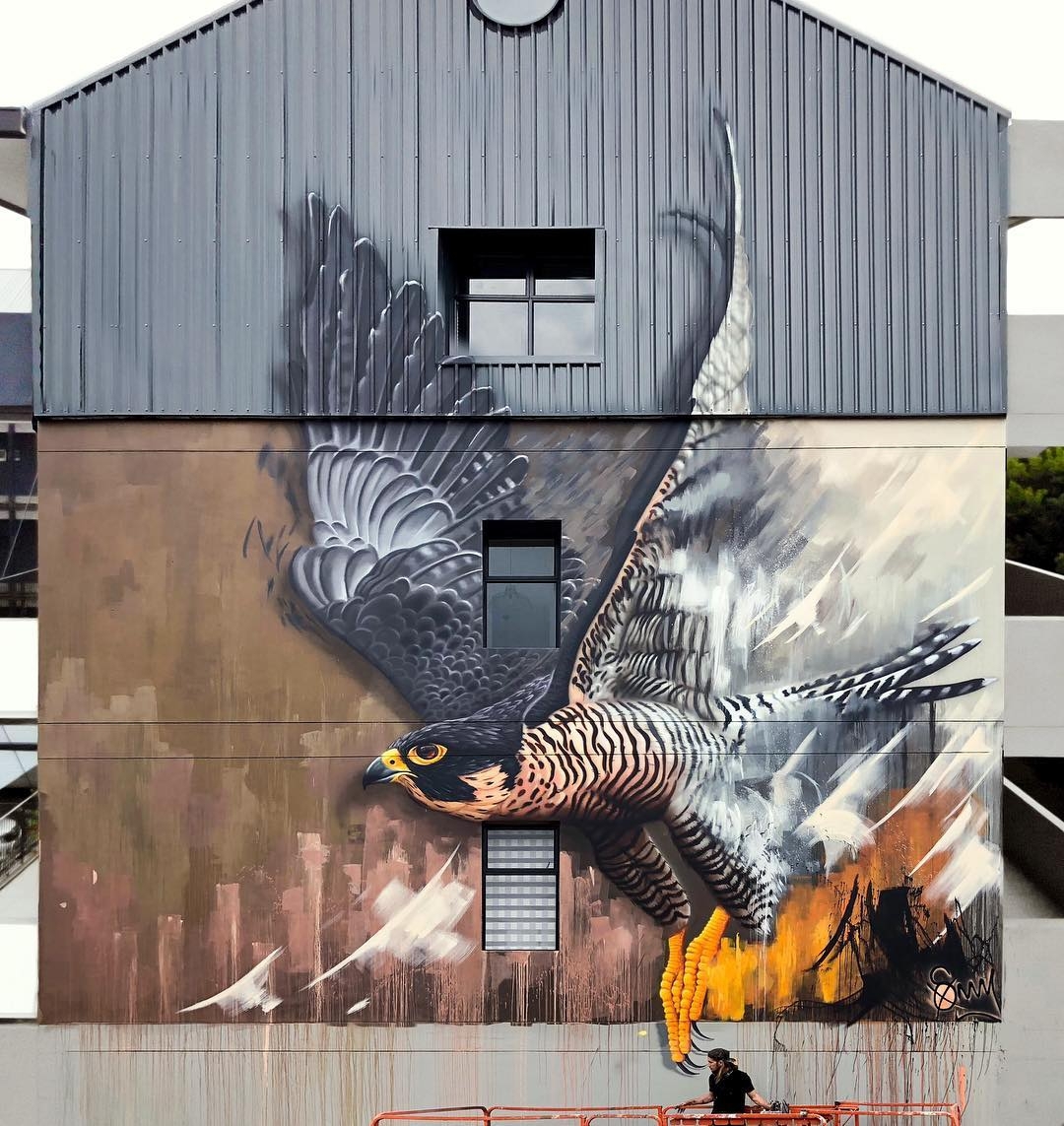 Sonny Sundancer @ Johannesburg, South Africa