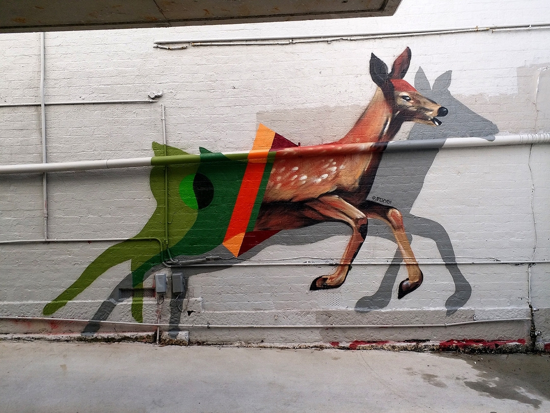 Apeseven @Sydney, Australia