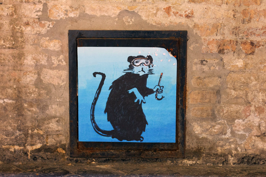 Blub @ Ravenna, Italy