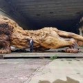 “Oriental Lion” by Dengding Rui Yao Giant lion carved from single tree trunk took 3 years to complete