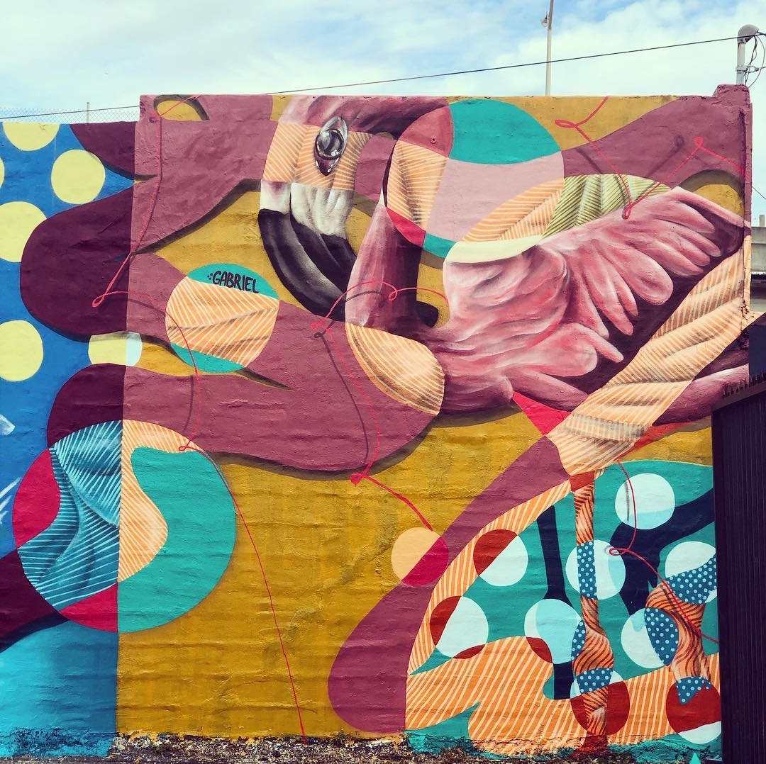 Gabriel Prusmack @Miami, FL, USA