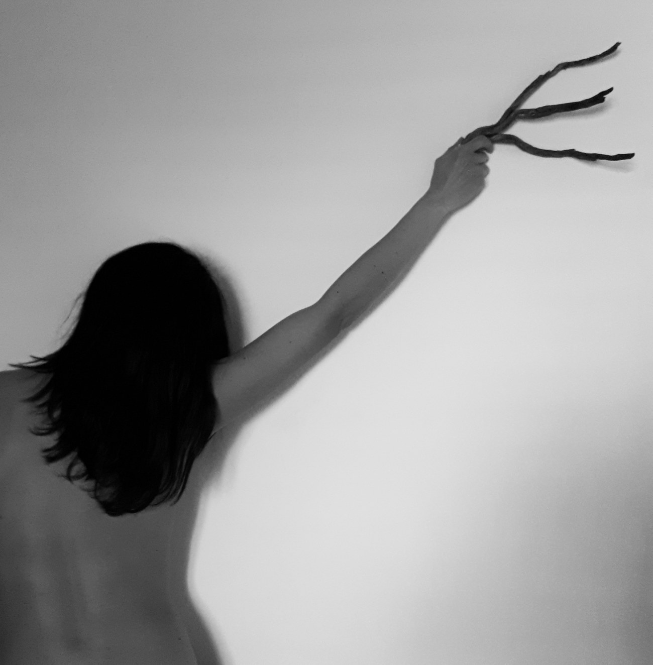 I, tree. Produzione Ambu-Picci