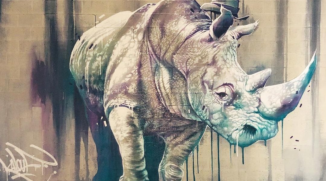 Kalouf @Brussels, Belgium