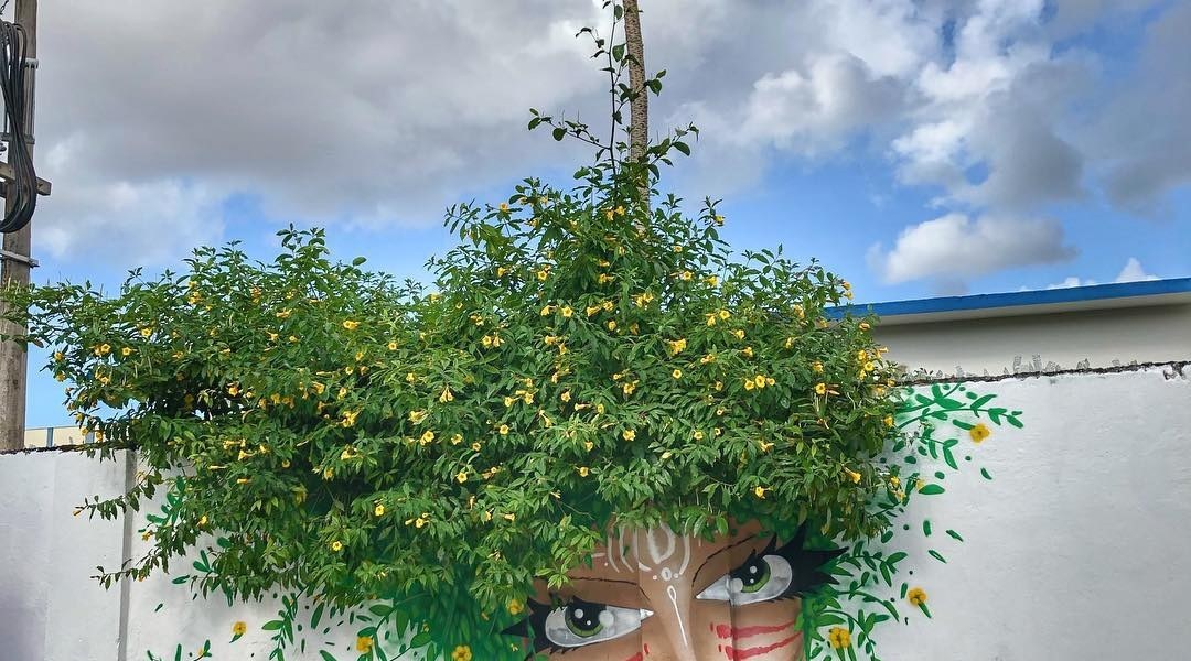 Michael Devis @Caçapava, Brazil