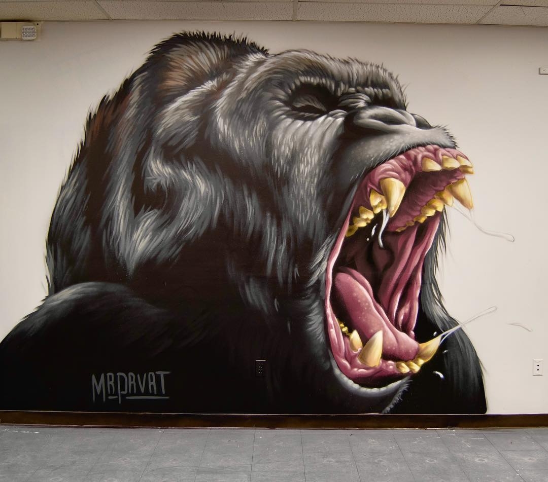 Mr. Prvrt @Victor, New York, USA