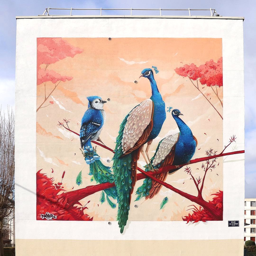 Nexer @Viña del Mar, Chile