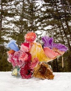 Nicole Dextras - Bouquet