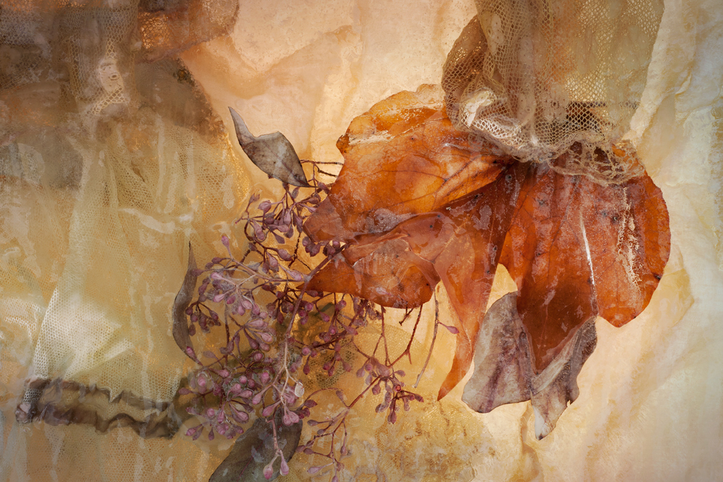 Nicole Dextras - Bouquet