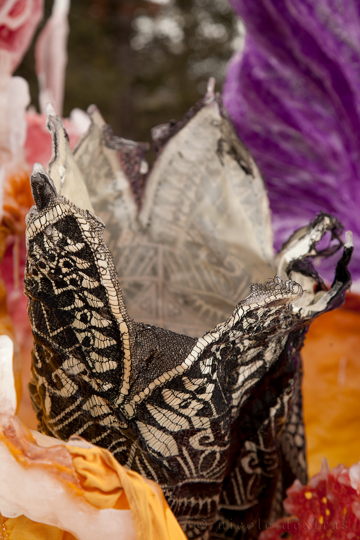 Nicole Dextras - Bouquet