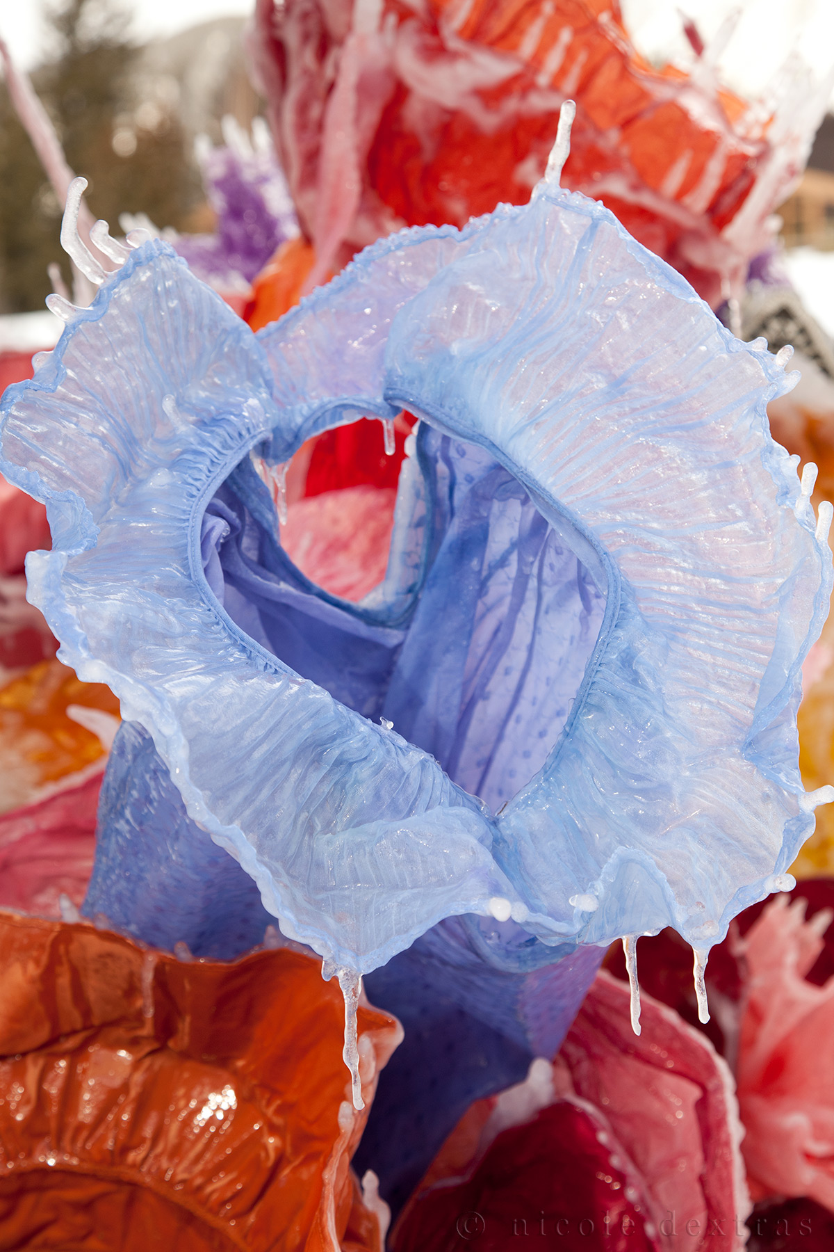 Nicole Dextras - Bouquet