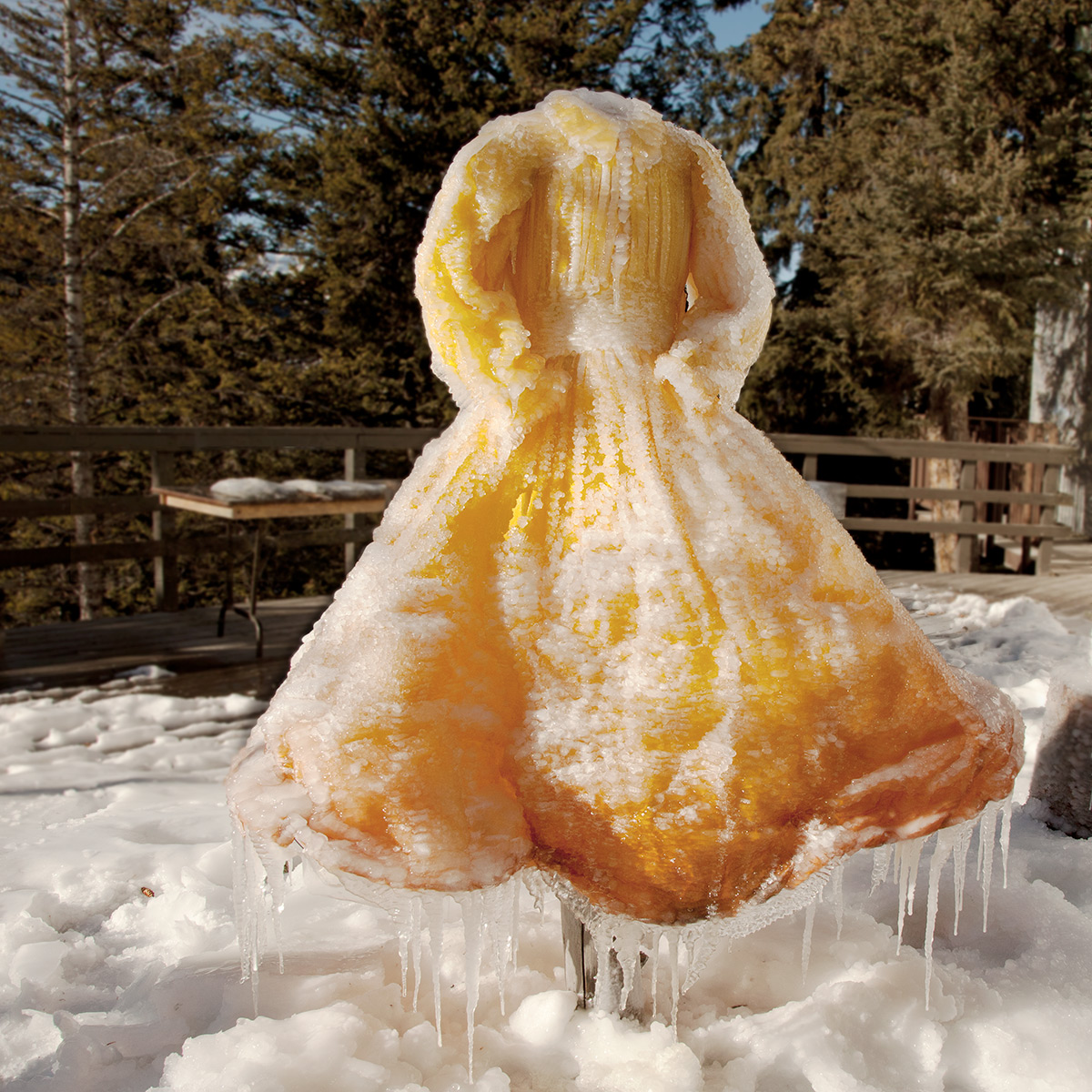 Nicole Dextras - Bouquet