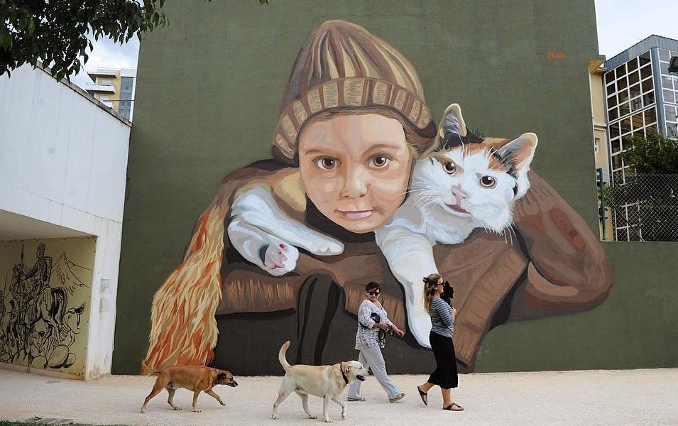 Projecto Matilha @Leiria, Portugal