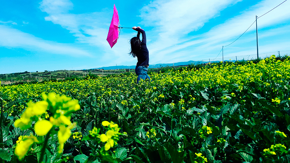 Spring Dance - Ambu-Picci Production