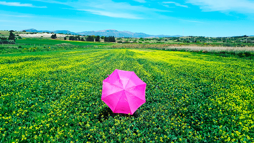 Spring Dance - Ambu-Picci Production